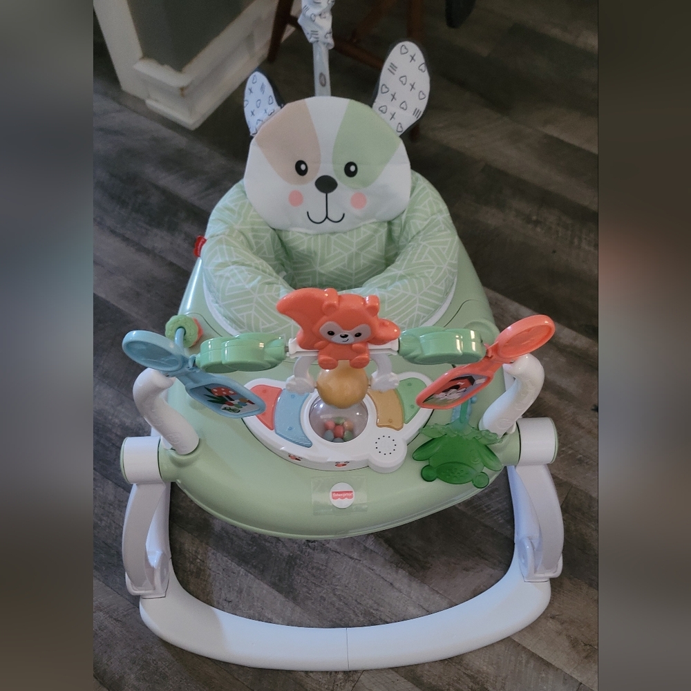 Fisher-Price Puppy Baby Activity Bouncer
